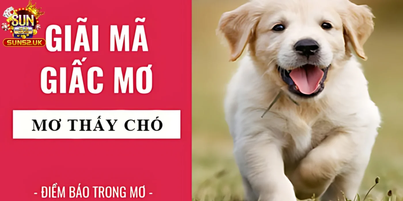 Lý giải chung về giấc mơ thấy chó